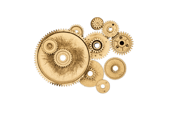Annual Maintenance Charges